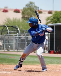 Yonathan Perlaza, Cubs, Cubs prospects